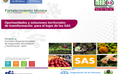 Herramientas de planificación territorial y participación para los SAS