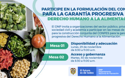 Mesas para la formulación del CONPES para la Garantía Progresiva del DHA – Piezas Comunicativas