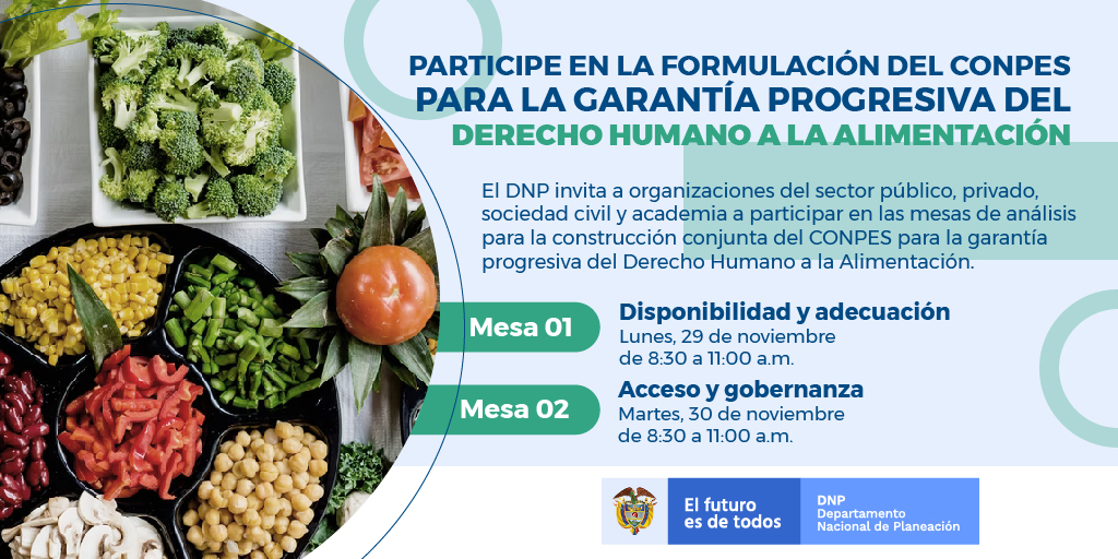 Mesas para la formulación del CONPES para la Garantía Progresiva del DHA – Piezas Comunicativas