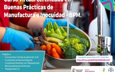 CURSO VIRTUAL CERTIFICADO EN BUENAS PRACTICAS DE MANUFACTURA E INOCUIDAD – BPM