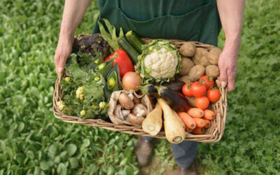 La lucha por la Soberanía Alimentaria es la lucha por el futuro de la Humanidad