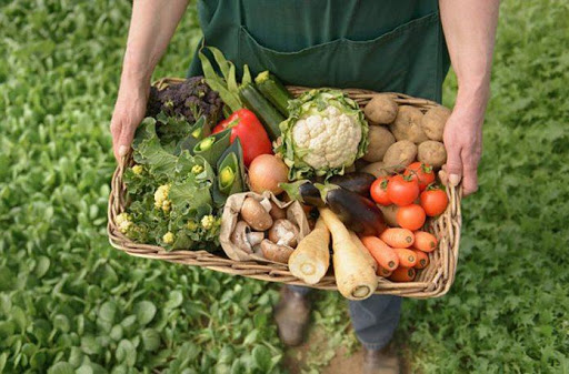 La lucha por la Soberanía Alimentaria es la lucha por el futuro de la Humanidad