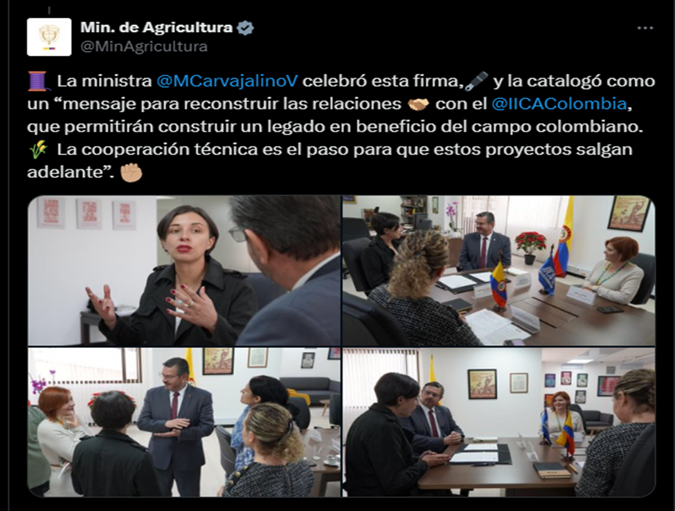 Sin título