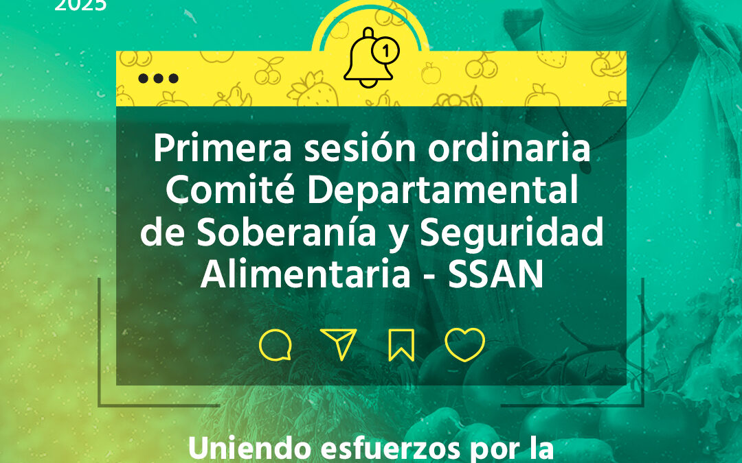 COMITÉ  SSAN PRIMERA SESIÓN ORINARIA 2025